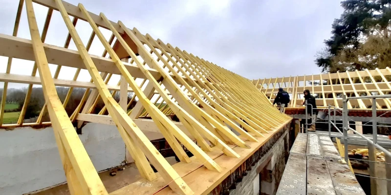 20200131_115737-scaled